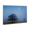 Stupell Industries Blue Silence Landscape Canvas, design by Urtzi Vera